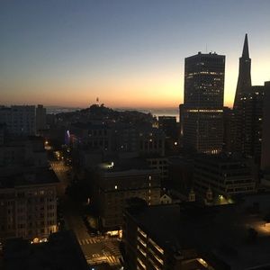 Meet your Posher, Tara